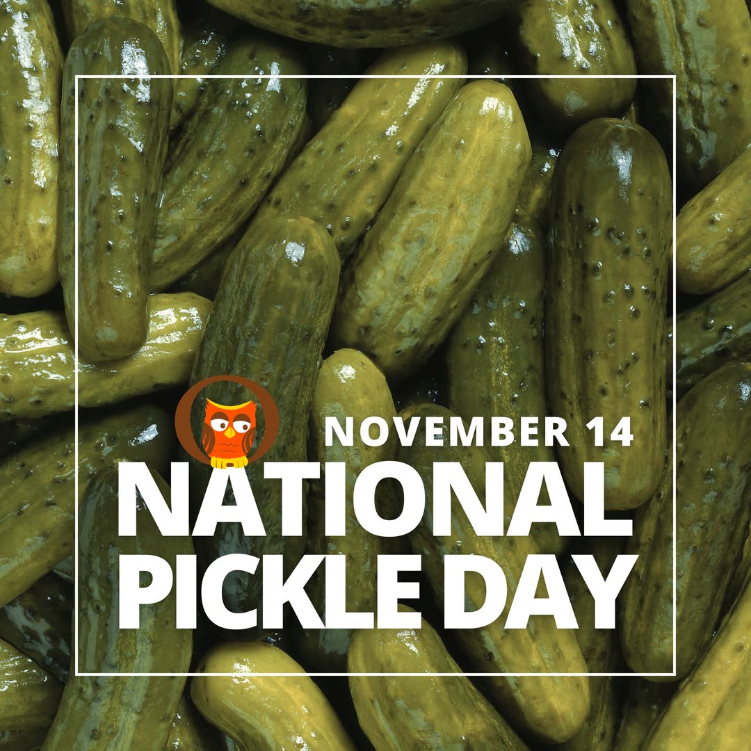 <p>National Pickle Day</p>